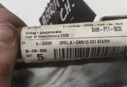 607657600E штора подушек безопасности Opel Astra H 2009