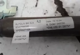 5P0880742A штора подушек безопасности Seat Altea 2004