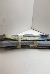 DLE5000 штора подушок безпеки Toyota Prius (NHW20) 2008