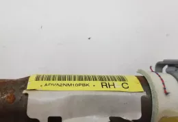 ADVA2NM10PBK штора подушек безопасности Toyota Avensis T270 2010