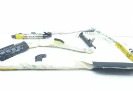 C20A7022352 штора подушок безпеки Hyundai Santa Fe 2007