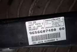 30325085D штора подушек безопасности Peugeot 607 2006