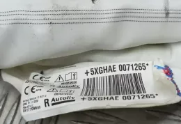 5XGHAE0071265 штора подушок безпеки DS Automobiles 7 Crossback 2020