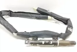016368300245 штора подушок безпеки Renault Scenic III - Grand scenic III 2010