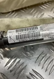 07B251TA002D штора подушек безопасности BMW X5 E70 2008