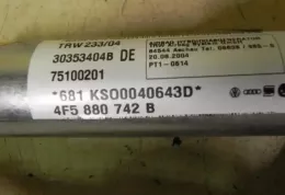 M1012 штора подушок безпеки Audi A6 S6 C6 4F 2005