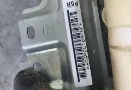 AGGP2E103PNF штора подушок безпеки Toyota Land Cruiser (J120) 2003