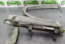 AYAV6034020029 штора подушек безопасности Nissan Primera 2002