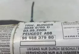 30364899D штора подушок безпеки Peugeot 1007 2005