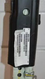 10954110 штора подушек безопасности Mercedes-Benz ML W164 2007