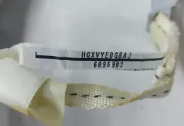 HGXVYE0GBAJ штора подушек безопасности Honda Accord 2009