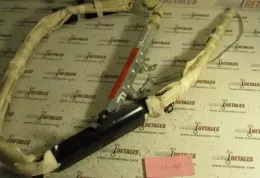 BGGR4WLTAA0 штора подушек безопасности Mitsubishi Grandis 2006
