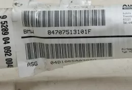 04B1065A038A8 штора подушок безпеки BMW 3 E46 2001