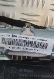 0248580N штора подушек безопасности Citroen DS3 2010