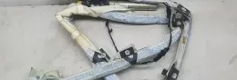 1013968300173 штора подушек безопасности Volkswagen PASSAT B6 2006
