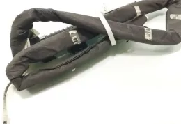 8200114848 штора подушек безопасности Renault Megane II 2003