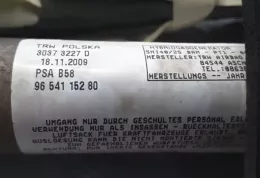 30373227 штора подушек безопасности Citroen C4 I Picasso 2010