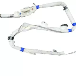 ASG20063P4H штора подушек безопасности Audi A5 8T 8F 2009