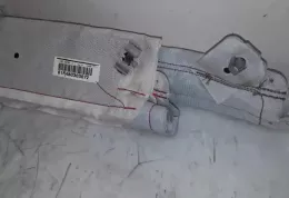 1P0880741R штора подушек безопасности Seat Leon (1P) 2005