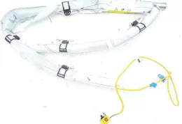 C214ICRH штора подушок безпеки Ford Kuga I 2010