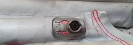 0496C14P0E6 штора подушок безпеки Seat Leon (1P) 2007