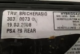 96550904801 штора подушек безопасности Peugeot 406 2000