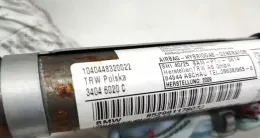 1040448320022 штора подушек безопасности BMW X1 E84 2010