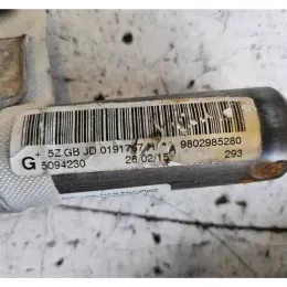 FX20060139 штора подушек безопасности Peugeot 508 2015