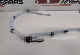 1013572770318 штора подушек безопасности Volkswagen PASSAT B6 2006