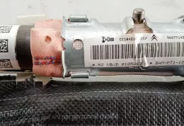 5ZVBJD0105867 штора подушек безопасности Citroen C5 2010
