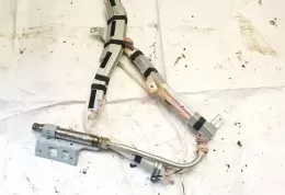 PXCB8067247063 штора подушок безпеки Nissan Murano Z50 2006