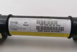 W220656108516C штора подушек безопасности Mercedes-Benz S W220 2006