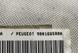 34147462A штора подушек безопасности Peugeot 5008 2012