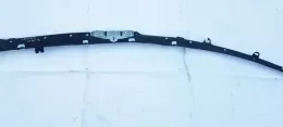 13102061 штора подушек безопасности Opel Vectra C 2004
