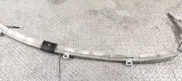 30316062H штора подушок безпеки Jaguar X-Type 2003