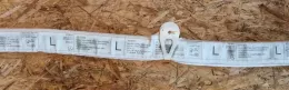 6013838A штора подушек безопасности Mercedes-Benz A W169 2005