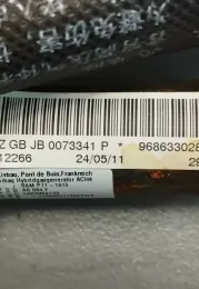 JB0073341 штора подушек безопасности Peugeot 508 2011