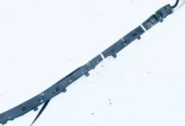 30005333 штора подушек безопасности Citroen C5 2007