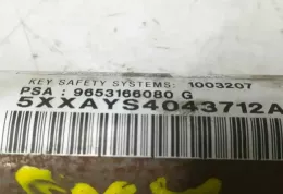 9653166080G штора подушек безопасности Peugeot 307 2004