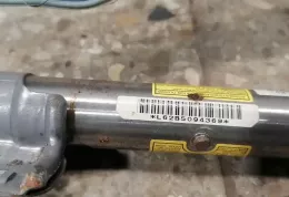 FX5011957 штора подушек безопасности Lexus GS 300 350 430 450H 2006