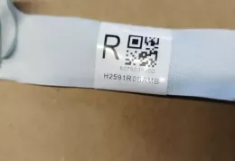 NND959119PY3 штора подушек безопасности Lexus NX 2019
