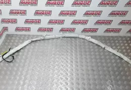 5ZXANS4029103Z штора подушек безопасности Citroen C8 2003