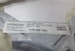 0491E1 штора подушок безпеки Seat Leon (1P) 2006