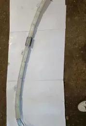 1X4314K159AG штора подушек безопасности Jaguar X-Type 2004