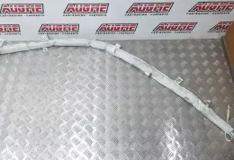 5ZXANS4029103Z штора подушек безопасности Citroen C8 2003