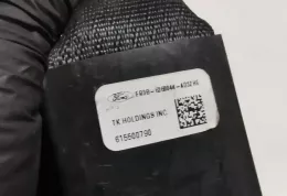 FR3B6360044AD пряжка заднего ремня безопасности Ford Mustang V 2014