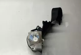 FR3B63044E07A ремень безопасности заднего сиденья Ford Mustang VI 2015